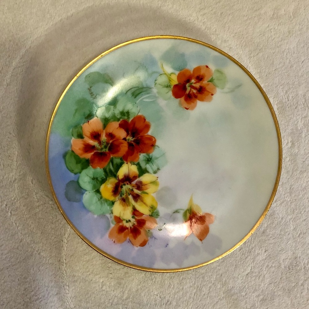 Thomas Bavaria Floral Patterned Plate EUC